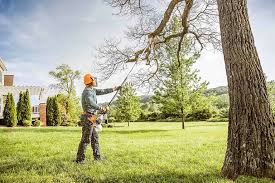 Best Lawn Irrigation Installation and Maintenance  in Seat Pleasant, MD