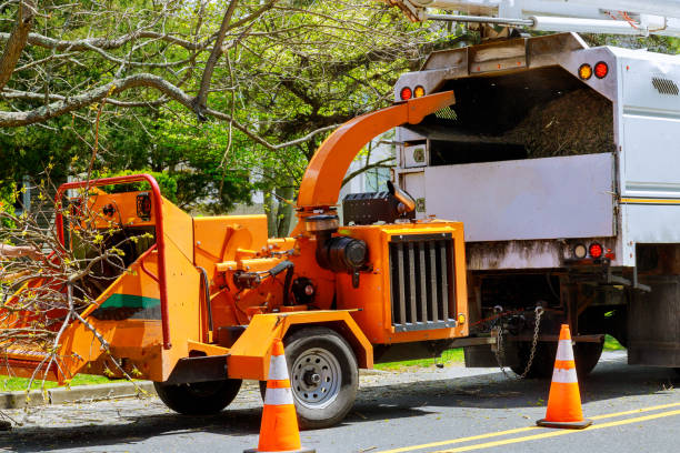 Best Hazardous Tree Removal  in Seat Pleasant, MD