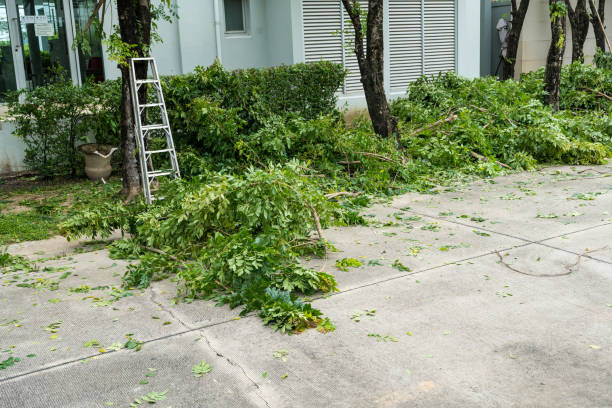 Reliable Seat Pleasant, MD Tree Removal Solutions